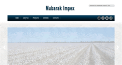 Desktop Screenshot of mubarakimpex.com