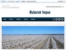 Tablet Screenshot of mubarakimpex.com